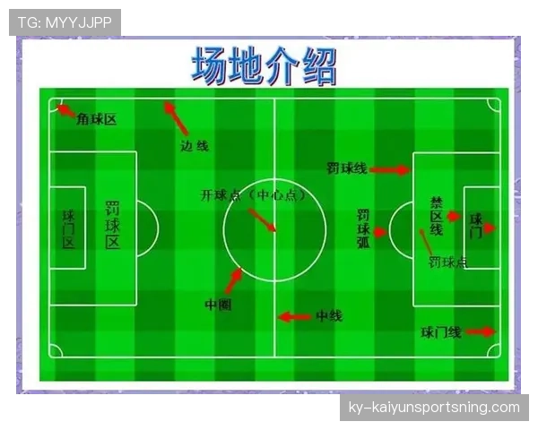 球场尺寸规则：国际赛与业余赛的长宽标准与关键差异